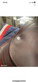 Selle CWD