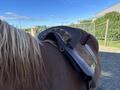 Selle Portugaise ZALDI - 17"