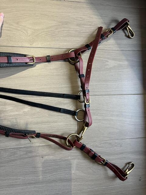 Collier de chasse ZILCO