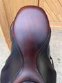 Antarès CSO Signature Marron