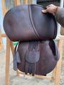 Antarès CSO Signature Marron