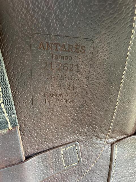 Antarès Tempo Marron