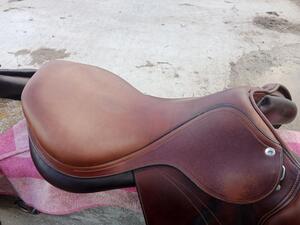 Selle expression