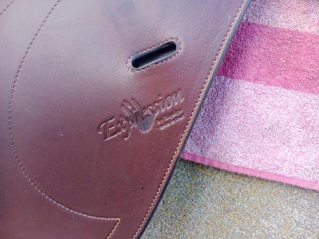 Selle expression