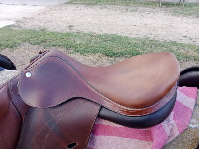 Selle expression