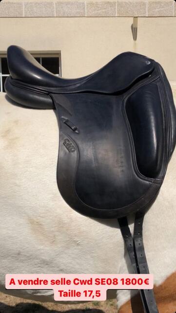 Selle cwd