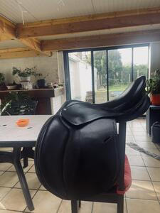 Selle 17 pouces 1/2