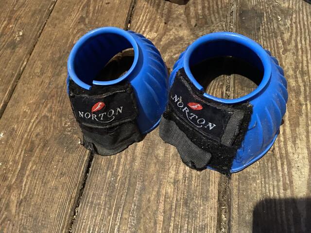 Cloches bleues Norton