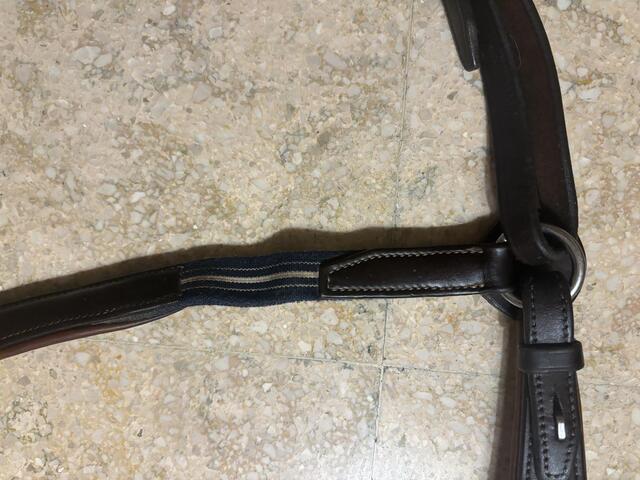 Collier de chasse antares taille 1