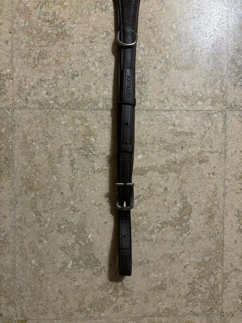 Collier de chasse antares taille 1