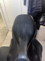 Selle butet noire