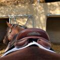 Selle Closer CSO Equiline