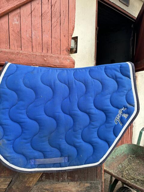 Tapis penelope