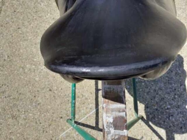 selle mixte forestier