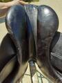 selle mixte forestier