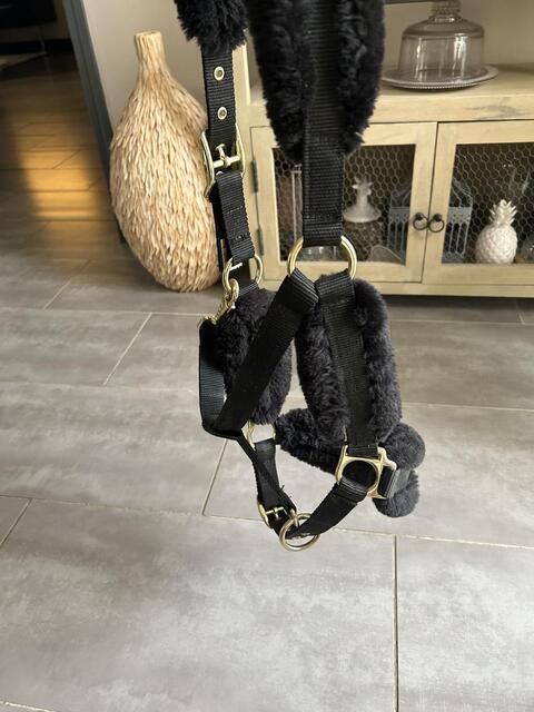 Licol Mouton Noir