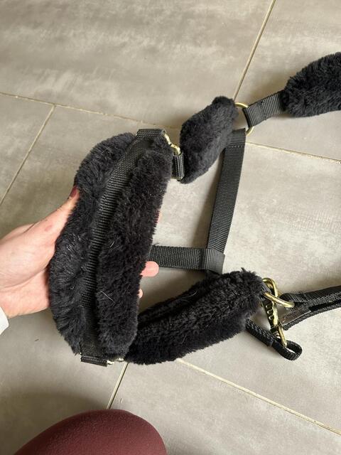 Licol Mouton Noir