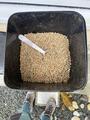 Complément alimentaire poney et chevaux