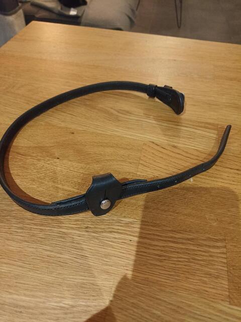 Nose band
