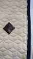 Tapis kentucky