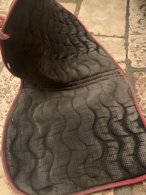 Tapis Equitheme Bordeau