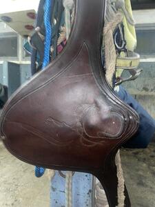 Bavette sangle antares 145 cm marron