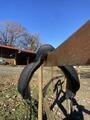 Selle de dressage