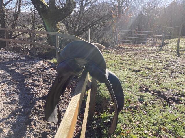 Selle de dressage