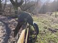 Selle de dressage