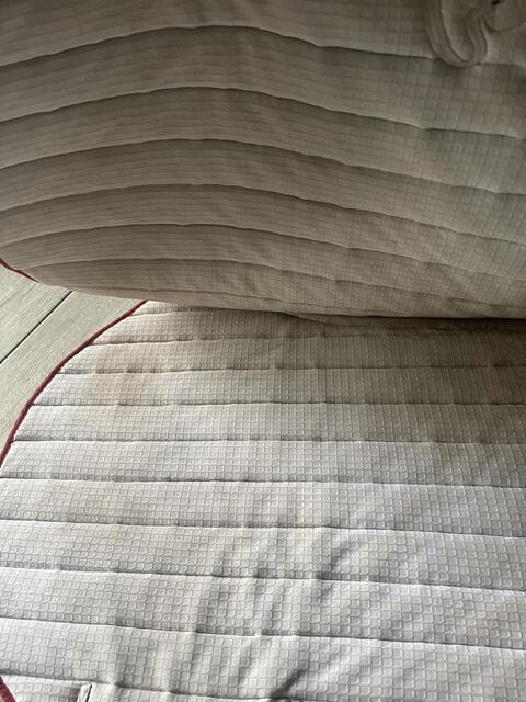 tapis