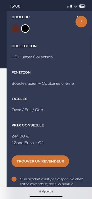 Bridon dyon