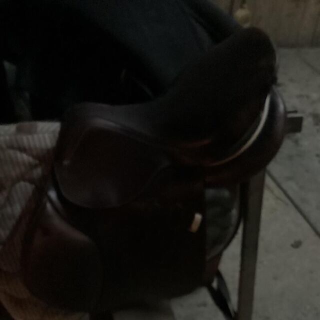 Selle GBS