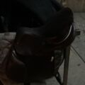 Selle GBS