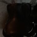 Selle GBS