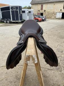 Selle forestier seoul