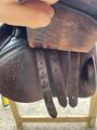 Selle forestier seoul