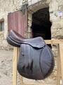 Selle forestier seoul