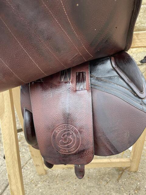 Selle forestier seoul
