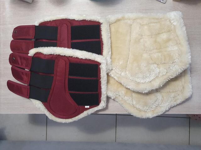 Guêtres dressage QHP