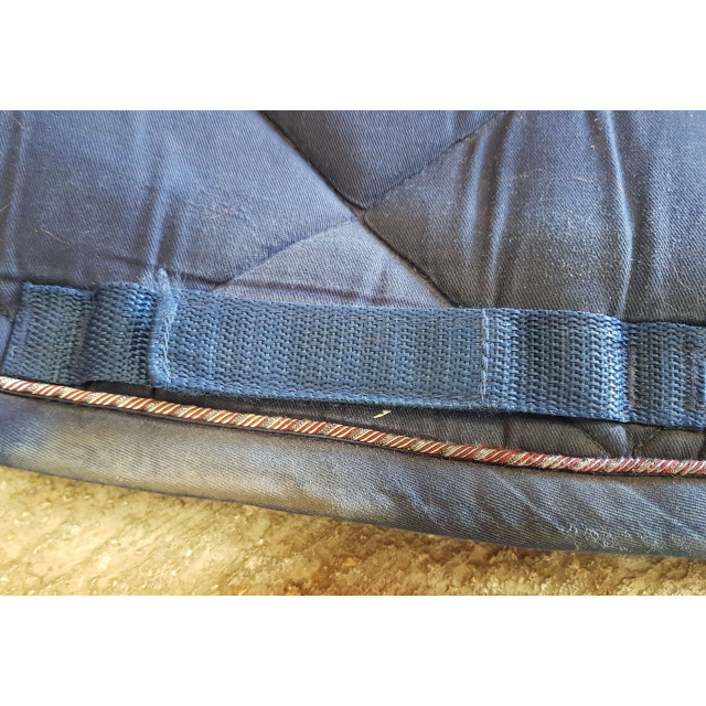 Tapis equitheme bleu