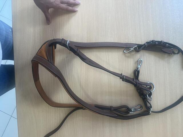 Collier de chasse