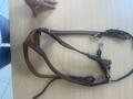 Collier de chasse