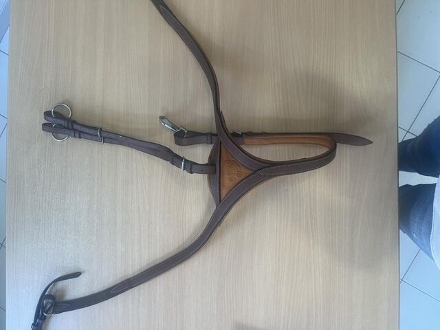 Collier de chasse