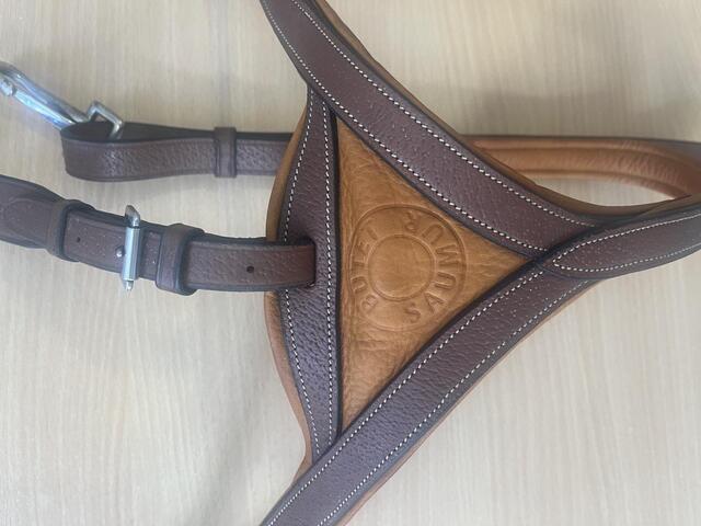 Collier de chasse