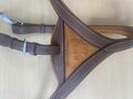 Collier de chasse