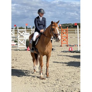 Veste Pikeur marine