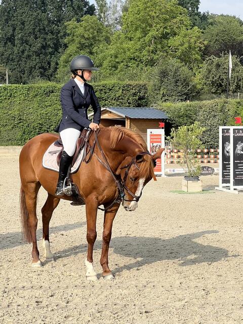 Veste Pikeur marine