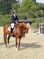 Veste Pikeur marine