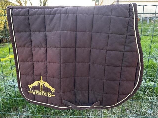 Tapis veredus