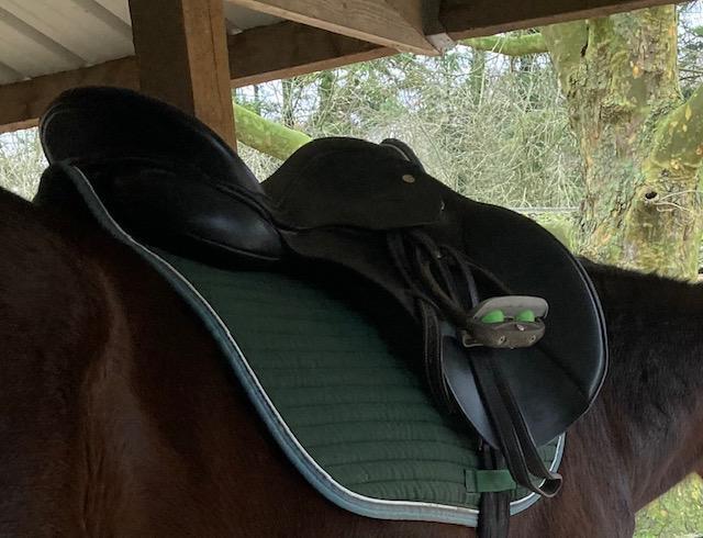 Selle Thorogood T8 NÉGOCIABLE